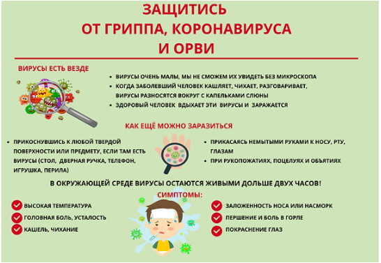 52337846.png